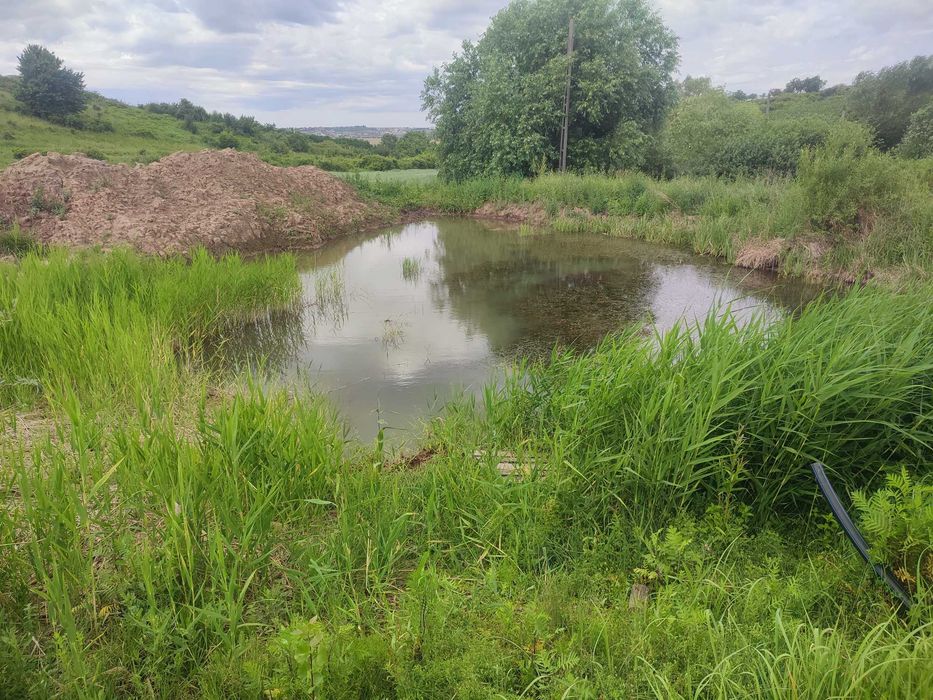 Vand  3 hectare teren extravilan cu balta in Biharia