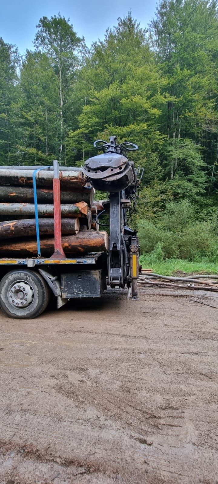 Camion forestier Scania 310