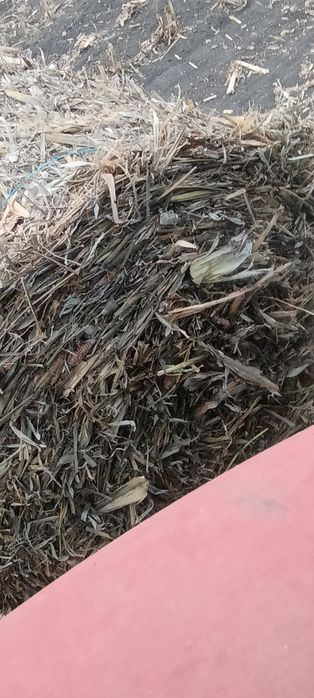 Baloți tulei de 120 pe 120