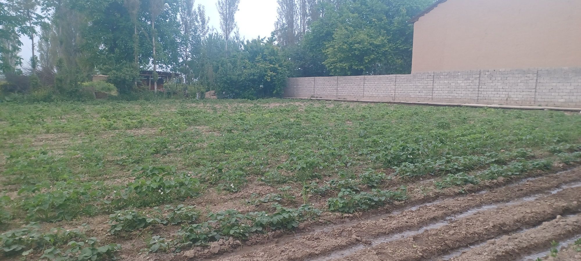 Уй жой ховли сотилади