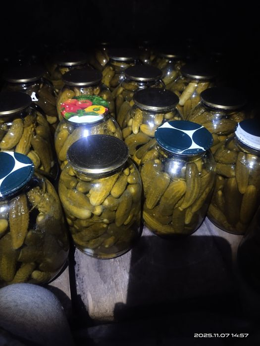 Продам огурцы маринованные