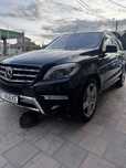 ML 350D Edition 1