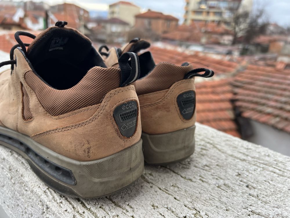 Ecco Gore-Tex 44