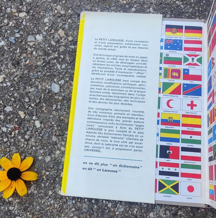 Petit Larousse – dicționar enciclopedic ilustrat (ediție veche, FR)