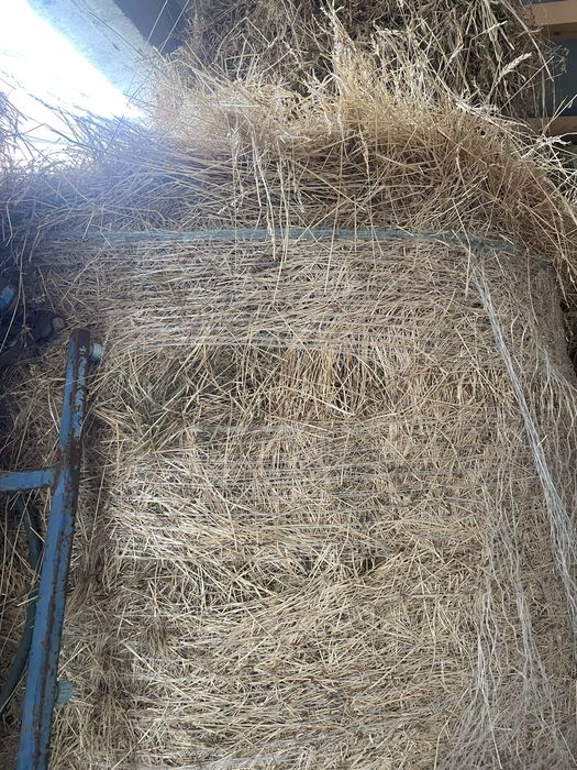 Baloti rotunzi mari fan