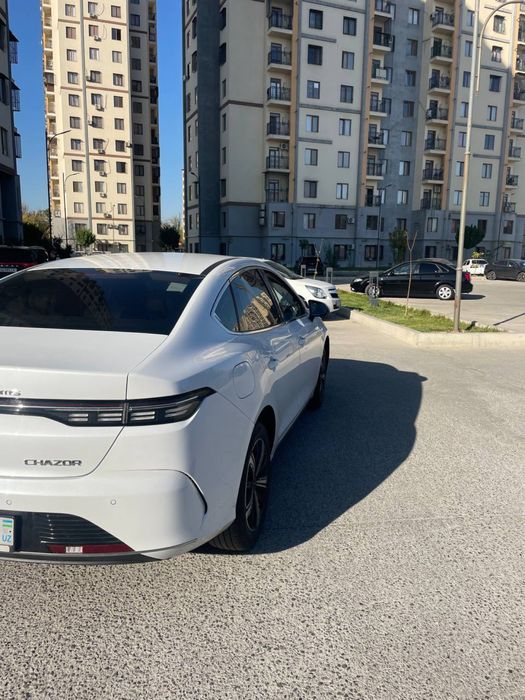 Chazor 3 pozitchiya 120 gibrit