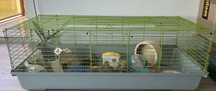 Cusca hamster + accesorii