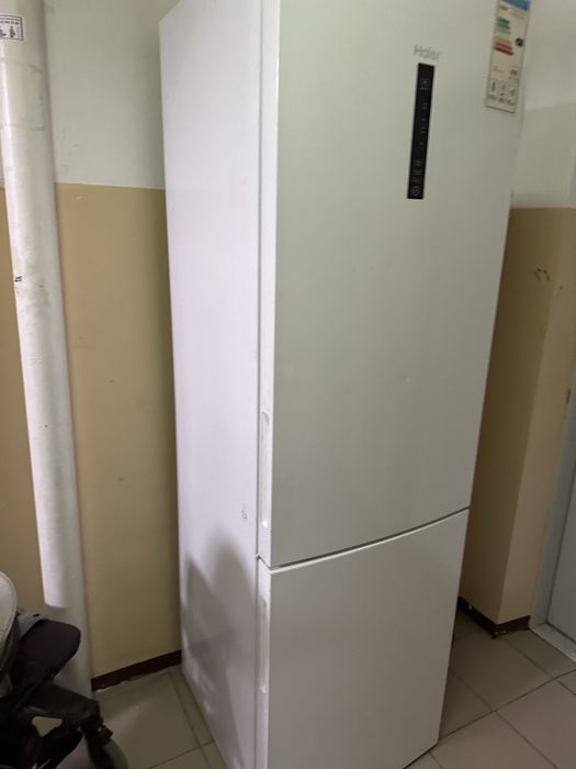 Холодельник с 1 год горянтей