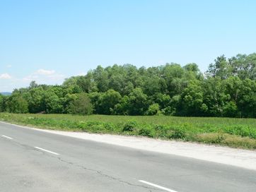 Под наем парцел - нива на главен София - Варна, до Лясковец