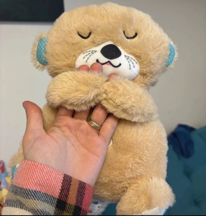 Vidra care liniștește bebelușul - este nou