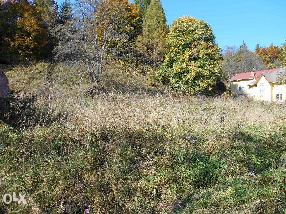 teren cheia superb -variante-schimb-asociere