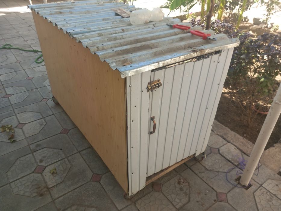 Tuvuqlar sotiladi kataki bilan birga