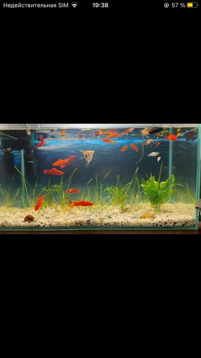 Продам аквариум 70 л