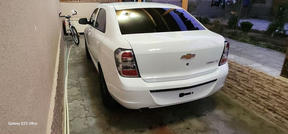 Cobalt Midnight (MCM) 2026