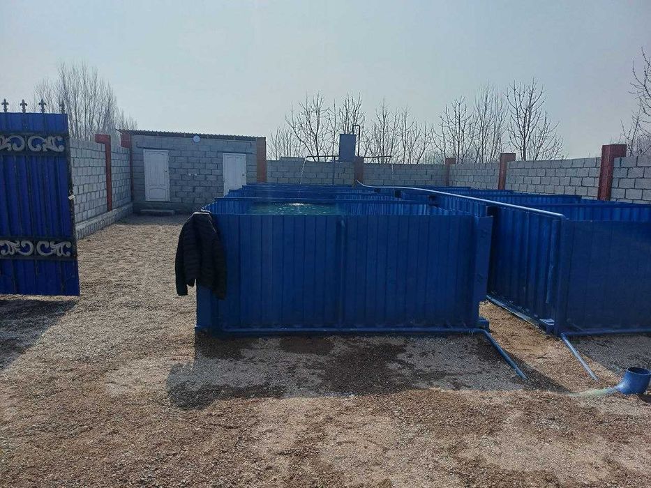 Хакулобод тумани, Ленинобод кишлогида баликхона сотилади