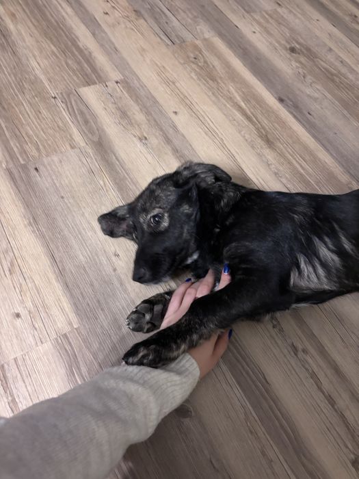 Fetita de talie mica cauta un adapost calduros