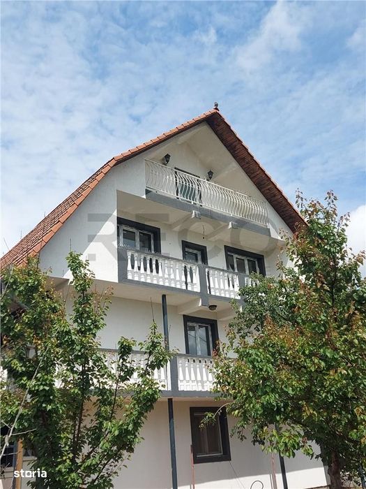 Casa cu 2 etaje si hala mare in Ineu de Cris