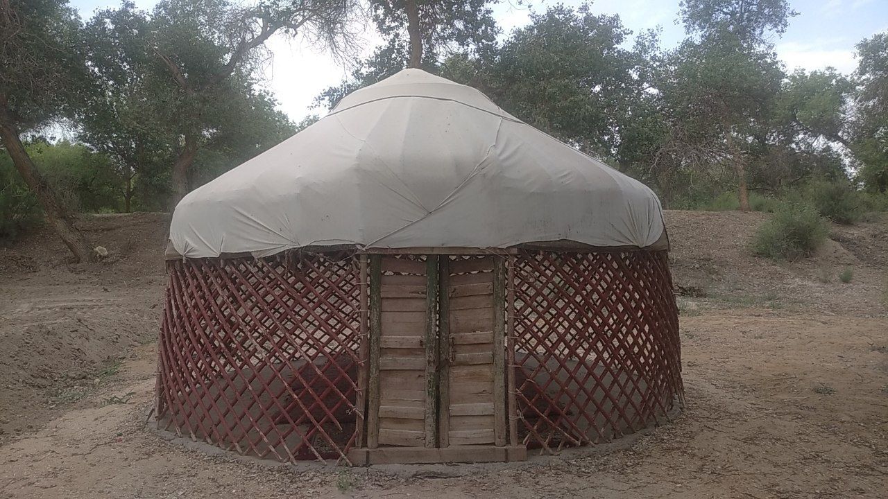 Карый сатылады, бахасы келисимли.