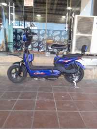 Ganlan elctro bike