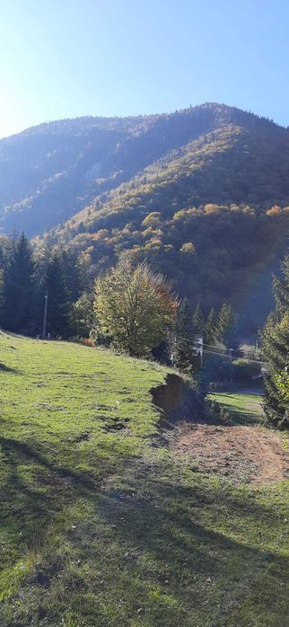 Vând teren intravilan 2500mp