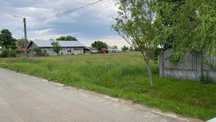 Vand/ Schimb TEREN 7000mp Baldana/ Tartasesti/ 20km De Buc/