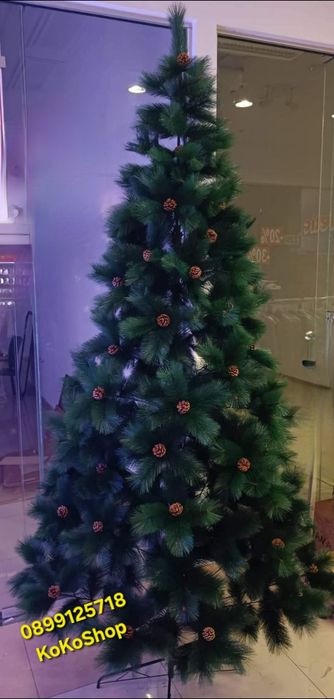 Елха с шишарки/елха със заснежени връхчета и шишарки