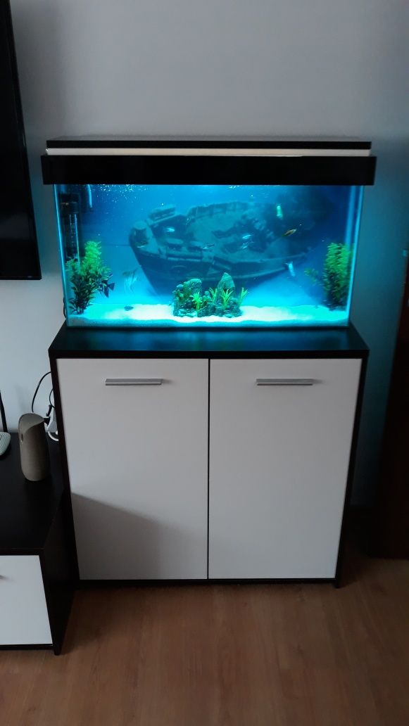 Vând acvariu 50 l cu pesti