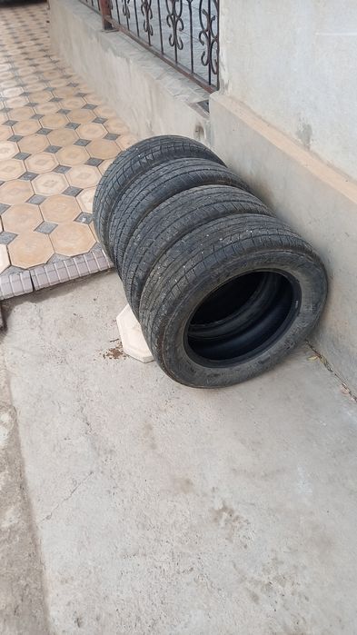 Зимний _Балон 215 _60_16