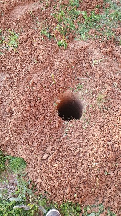 Gauri pentru gard, stalpi, pomi