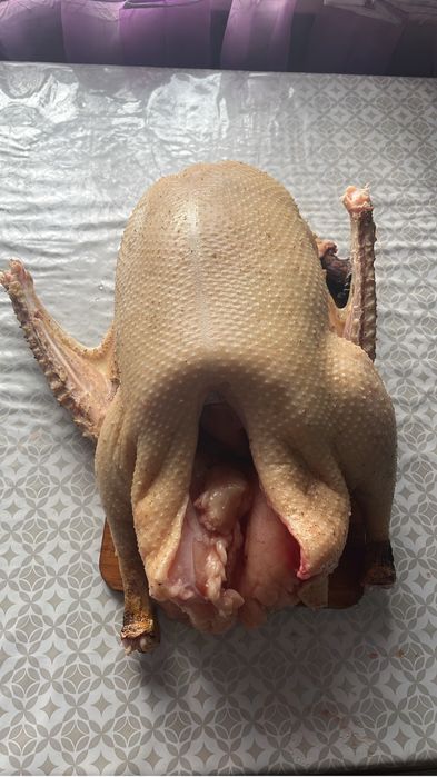 Продам гусей гусь жирный от 4 кг