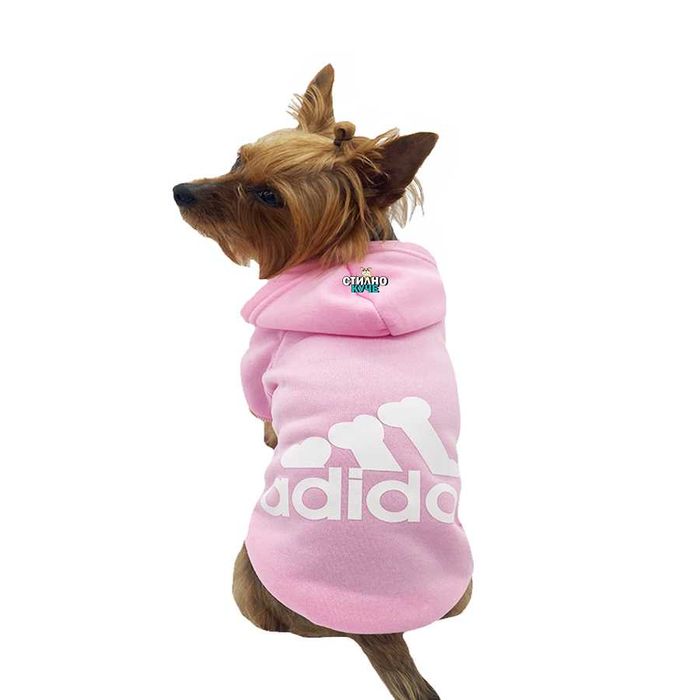 Суитшърт за куче: от XS до 9XL Кучешки суитшът Суитшърти за кучета