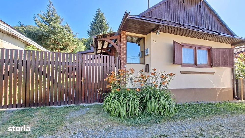 Casă cochetă cu teren generos și priveliște deosebită Vișeu de Sus