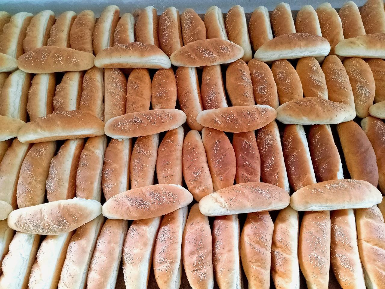 Sifatli Hotdog va gamburger nonlari.