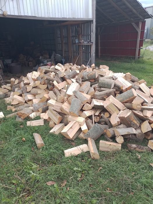 Lemne de foc tăiate de fag