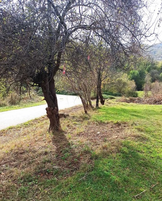 Продавам имот гр. Берковица