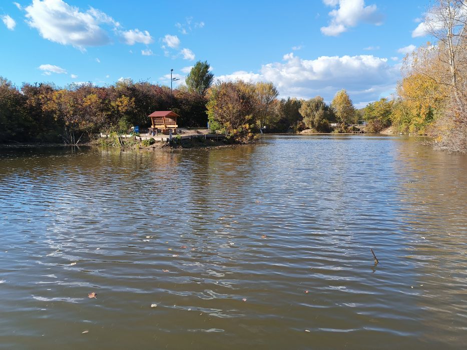 Afacere /Lac pescuit 19,5ha de VANZARE