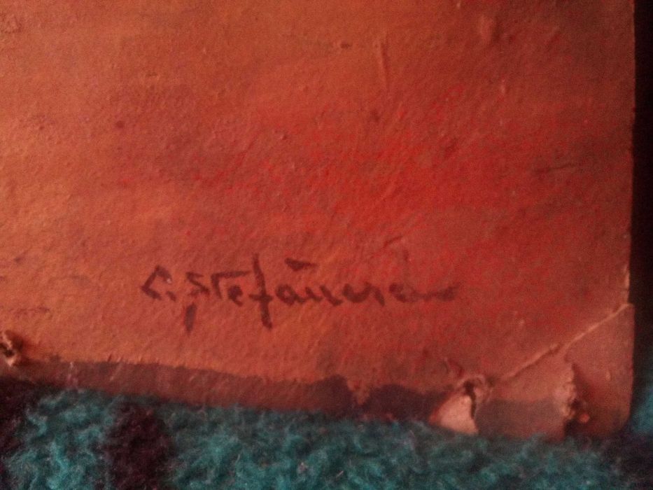 Tablou semnat C.Stefanescu vechime de minim 75 ani