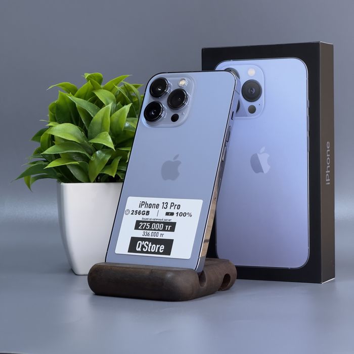 iPhone 13 Pro | 256gb | 100%
