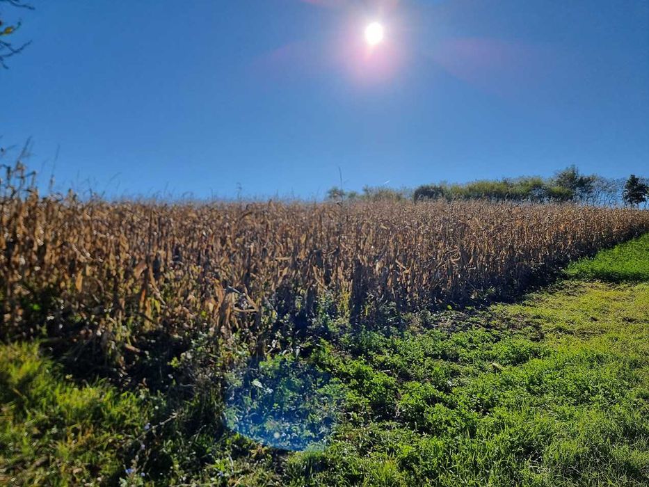 De Vanzare Casa individuala + Teren extravilan Comuna Raciu ,Sat Ulies
