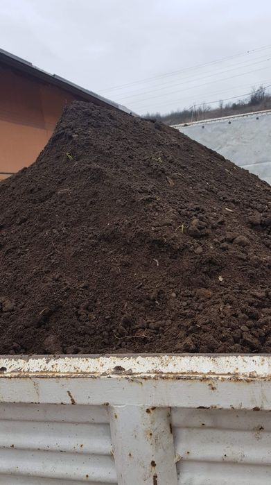 Pământ gazon gradina florii pomii mranita