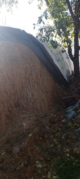 Vând fân amestecat cu lucerna