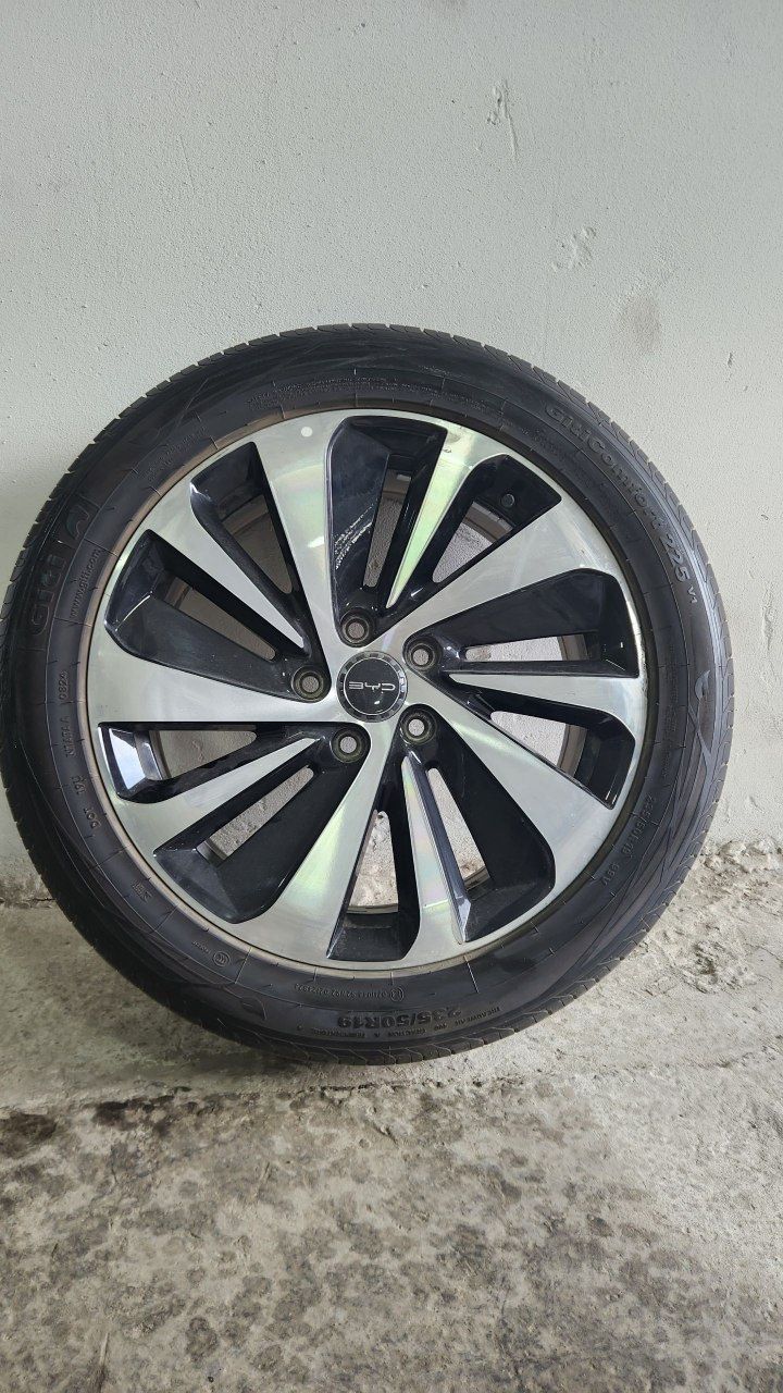 Byd champion diskasi R19