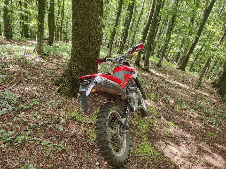 Enduro Beta Alp 350 (Suzuki DR)