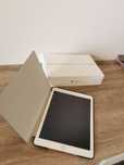 Ipad Air 2, 64GB Gold