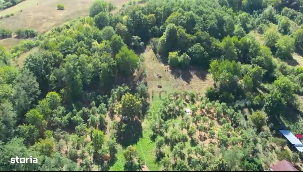 Teren intravilan + extravilan 10.537 mp – casa, livada sau ferma de fa