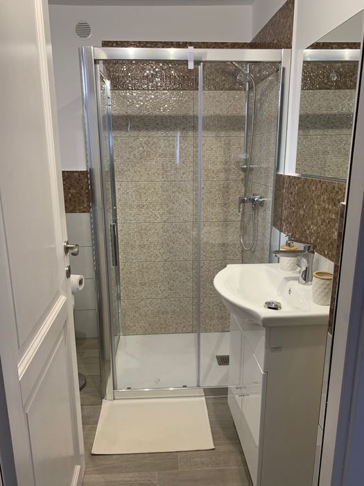 Casa de închiriat la Fagaras, curte