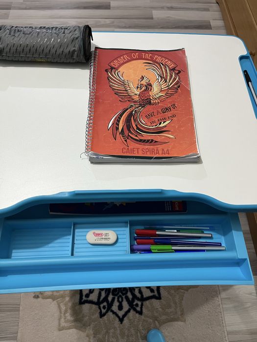 Banca teme copil/scolar Dedeman