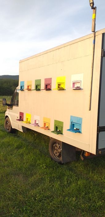 Camionetă Apicolă 3,5 t