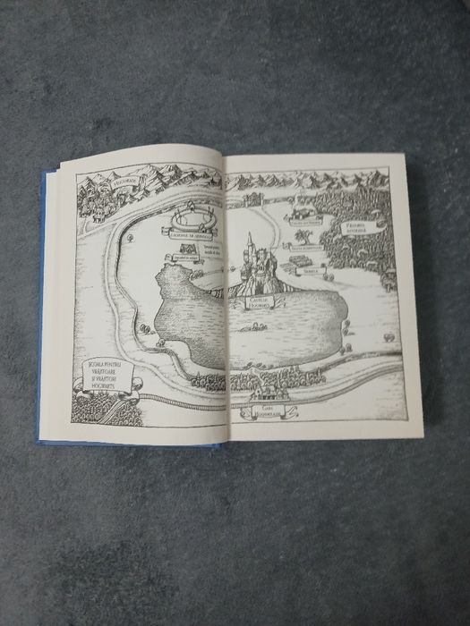 Carte Harry Potter și prizonierul din azkaban