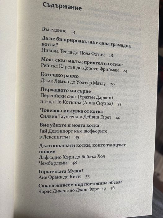 Бележити писма за котки